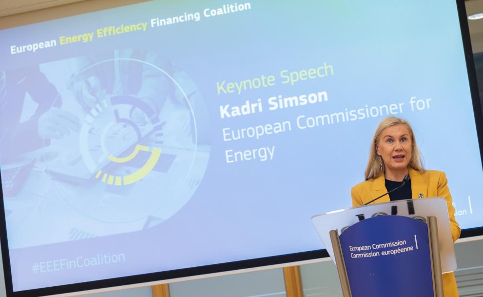 Newsenergy.ro: Coaliția europeană pentru finanțarea eficienței energetice a fost lansată